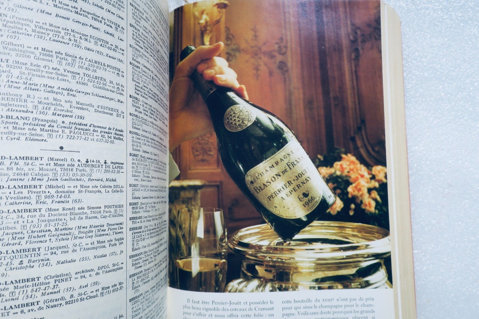 DIDOT BOTTIN BOTTIN MONDAIN 1976 Tutto Parigi Tutta la Francia – Image 11