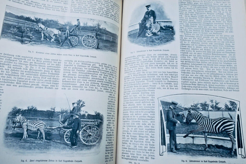 Illustriertes Familienblatt, 1897-1904
