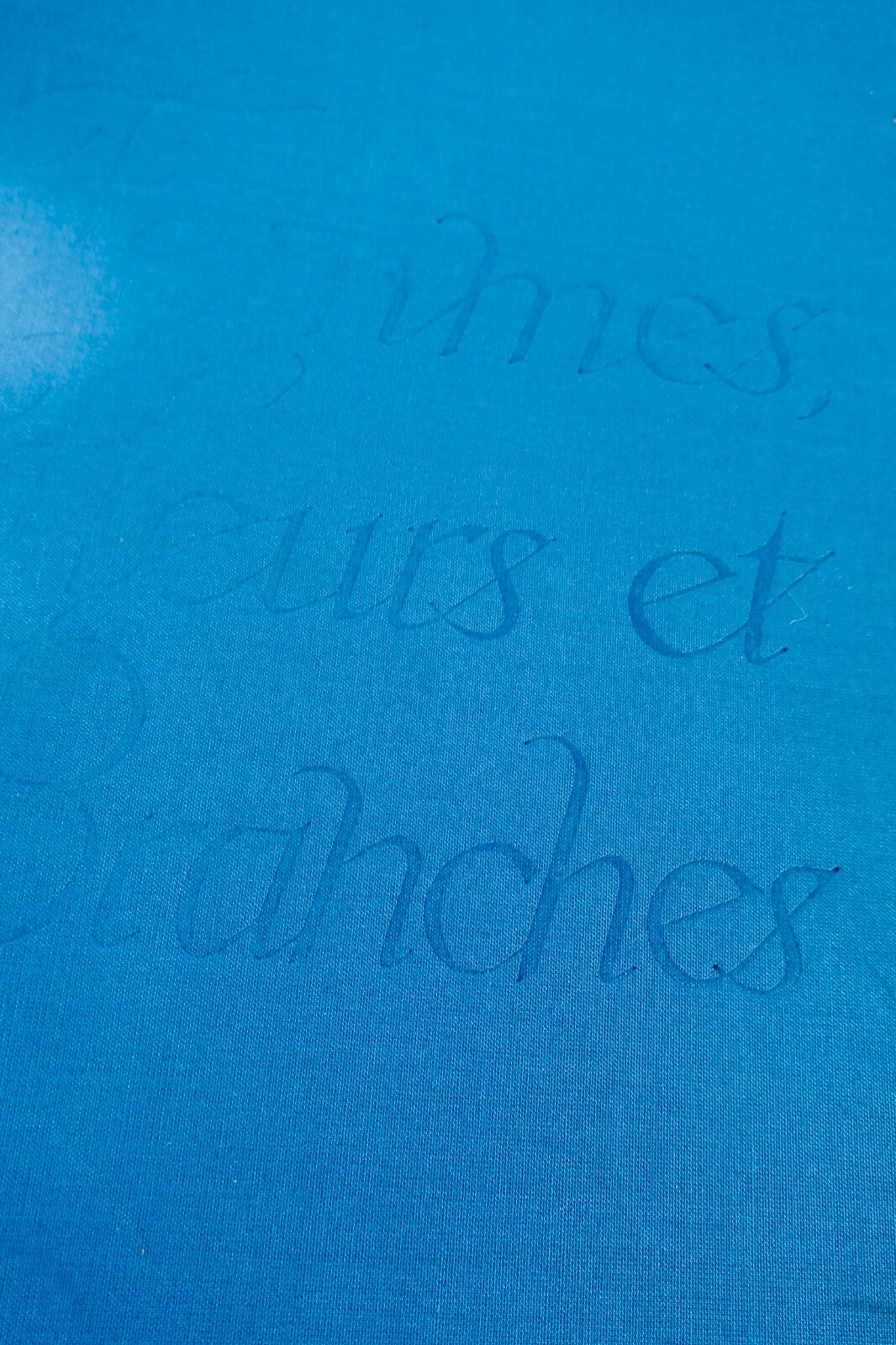 Dignimont - BELMONDO - BRAYER - BELMONDO - DORGELES ...Femmes fleurs et branches – Image 3