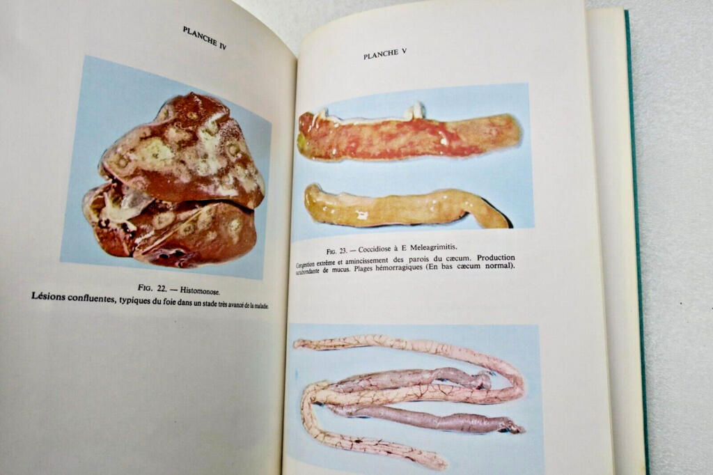 Turkey: Breeding, Incubation and Pathology Guide