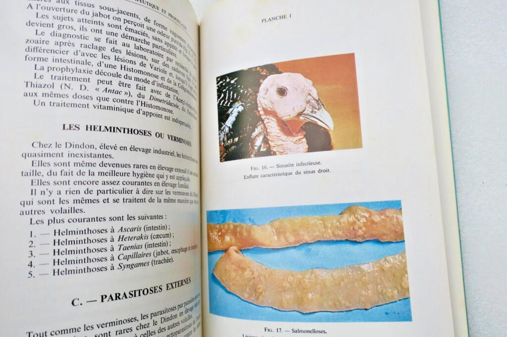 Turkey: Breeding, Incubation and Pathology Guide