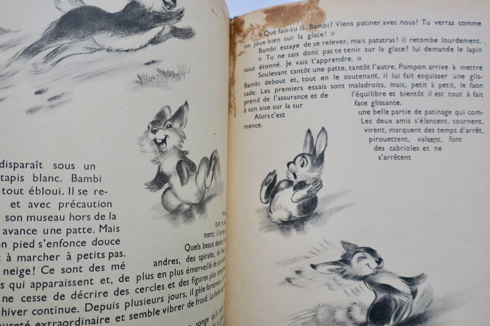Bambis Abenteuer von Disney - Image 3