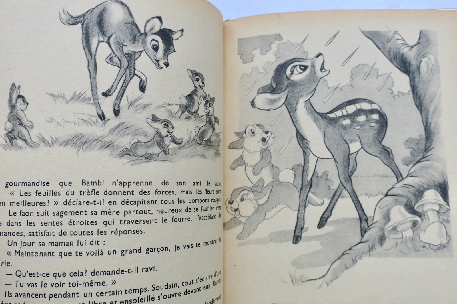 Bambis Abenteuer von Disney - Image 5