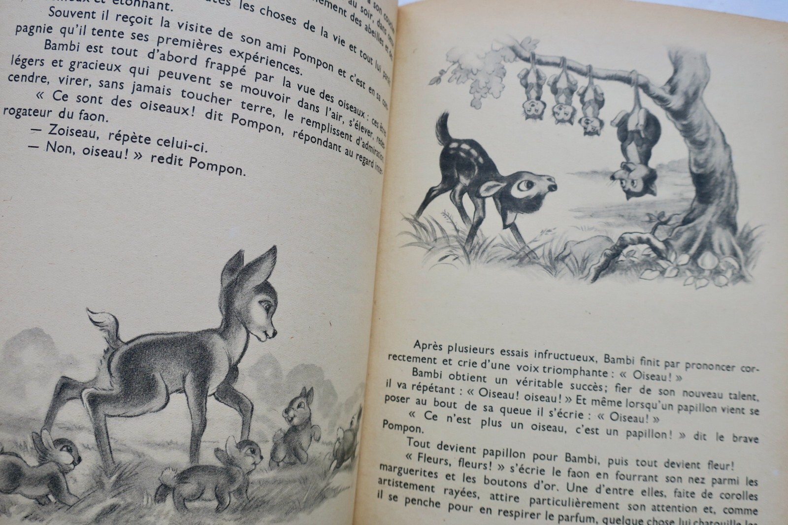 Bambis Abenteuer von Disney - Image 6