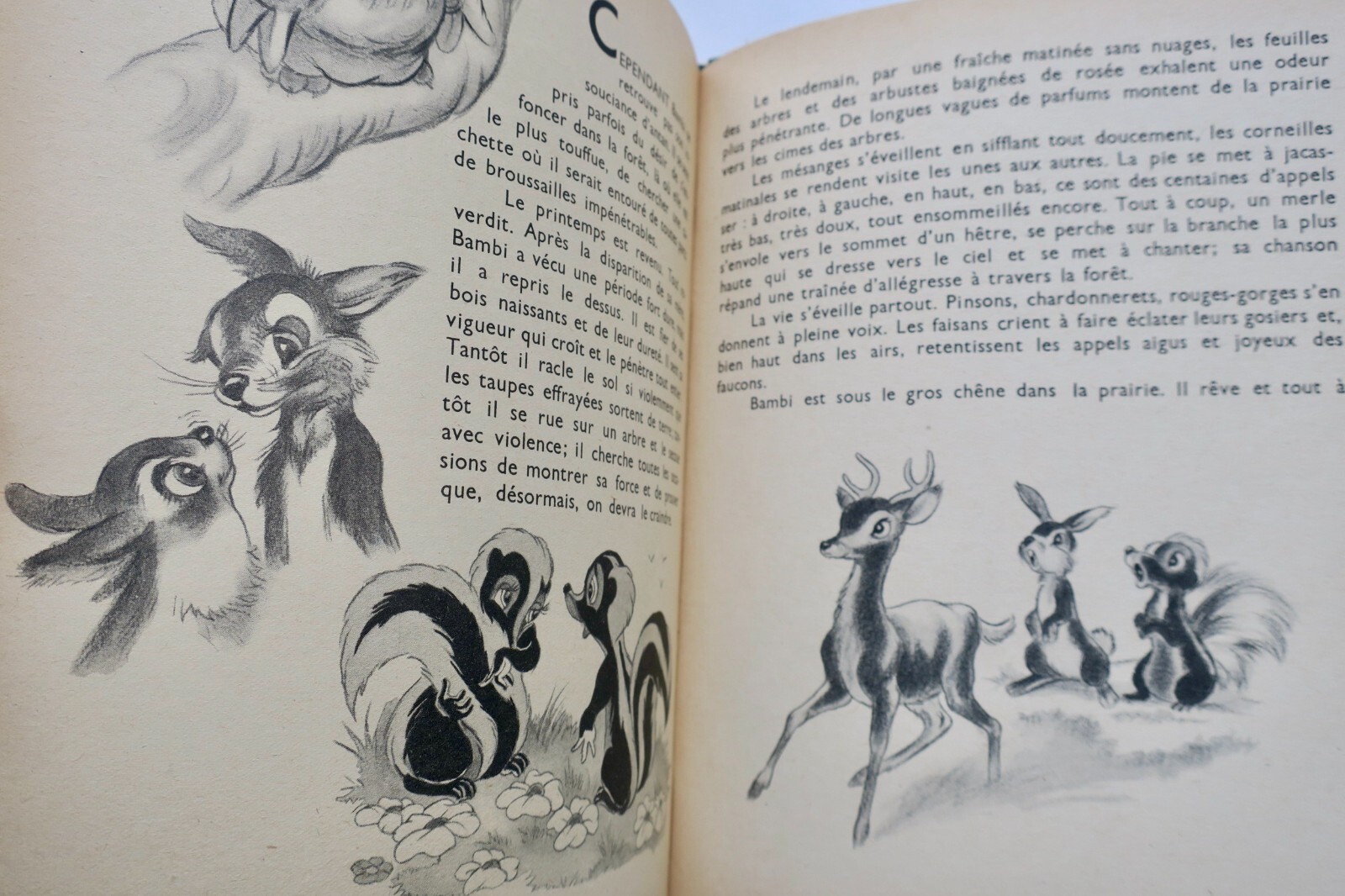 ディズニーによるバンビの冒険<span class="lla-card-orig-wrap"><span class="lla-card-orig">❦ DISNEY, Walt Bambi,d’Aprés Félix Salten 1948</span></span> - La Librairie Antique