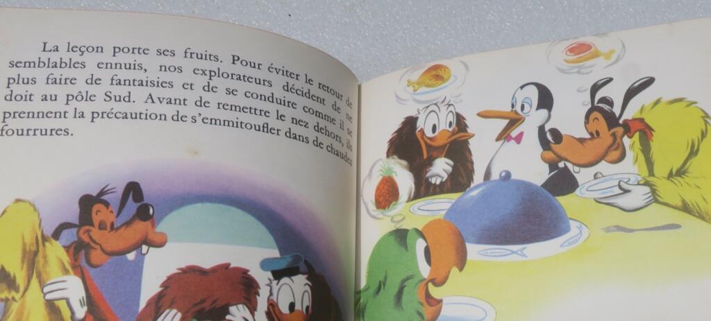 Walt Disneys Donald Ducks Antarktis-Abenteuer
