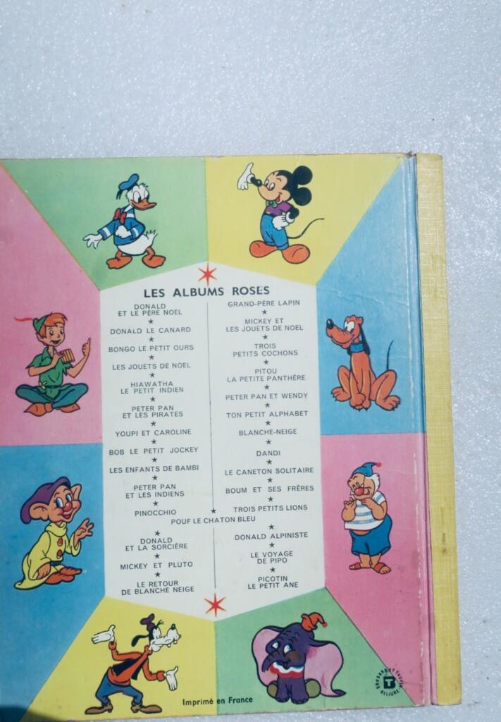 Walt Disneys Donald Ducks Antarktis-Abenteuer