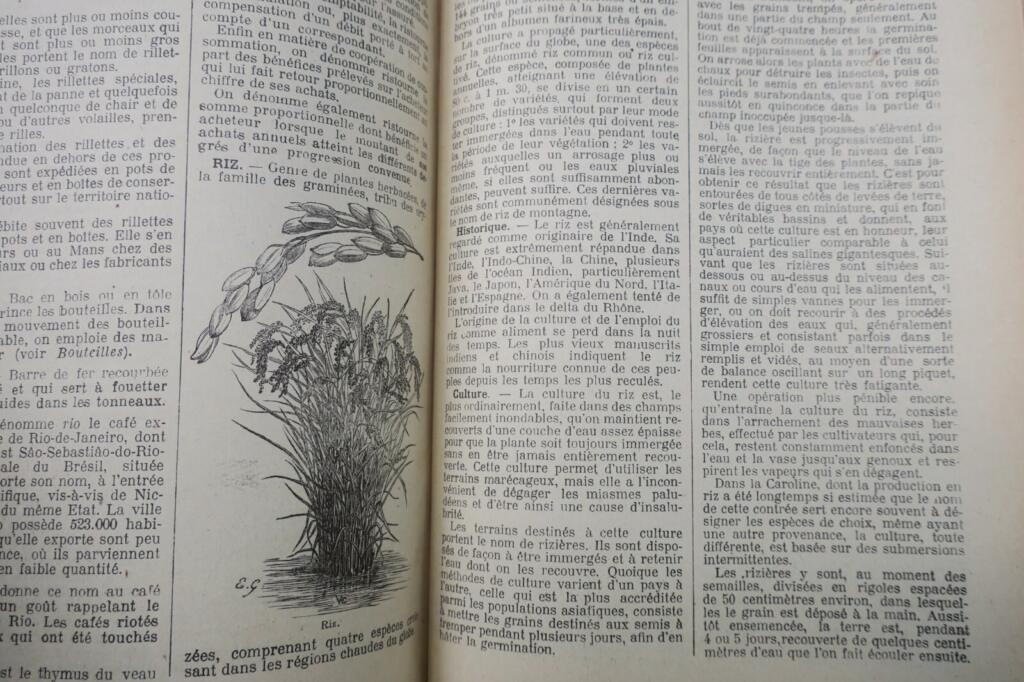 Enzyklopädisches Wörterbuch der Nahrungsindustrie