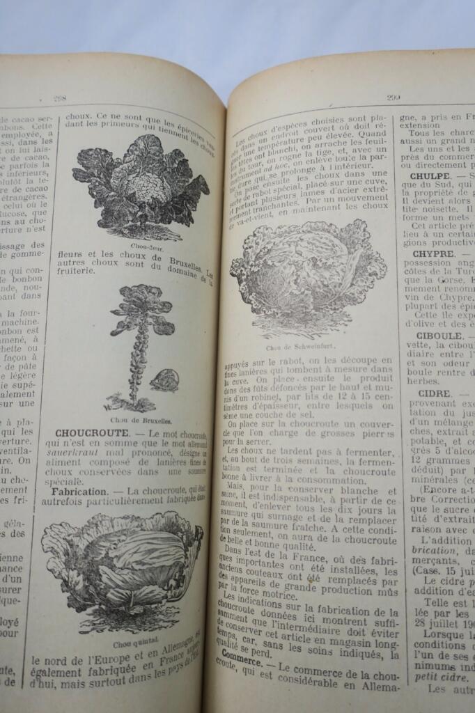 Enzyklopädisches Wörterbuch der Nahrungsindustrie