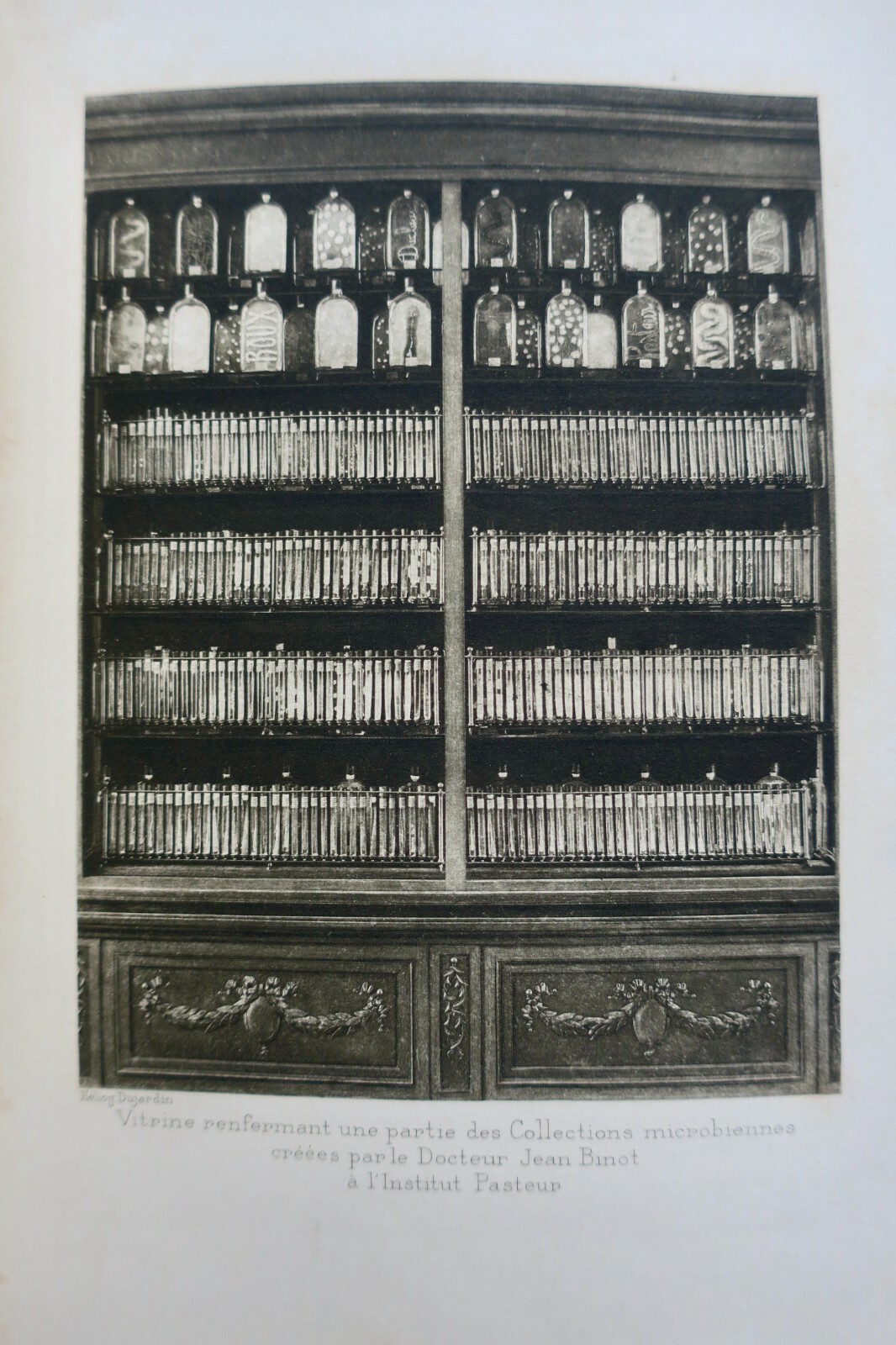 Leiter im Institut Pasteur - Image 3