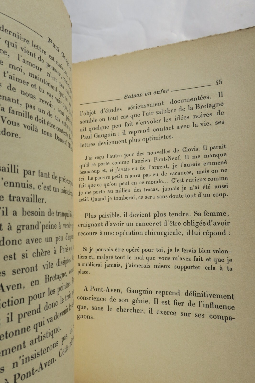 Sentimentales Leben von Paul Gauguin - Image 6