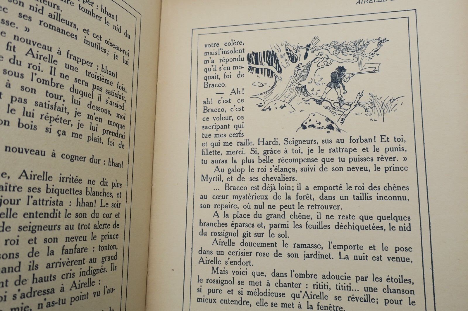 Illustrated work on forest and field princesses - Image 6