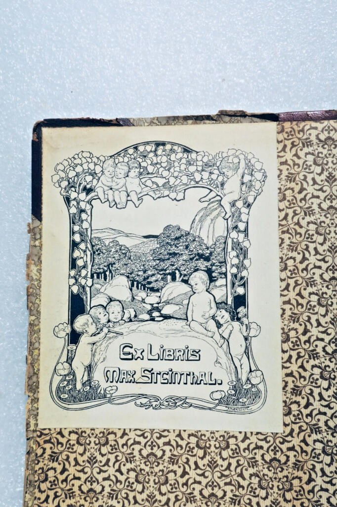 Sorrows and Smiles - French Literary Collection
