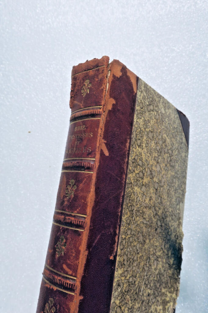Sorrows and Smiles - French Literary Collection