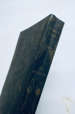 Charles Dubins Streifzüge - Memoiren