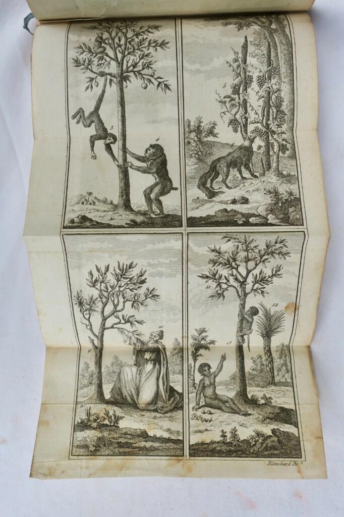 Gespräche über Naturgeschichte