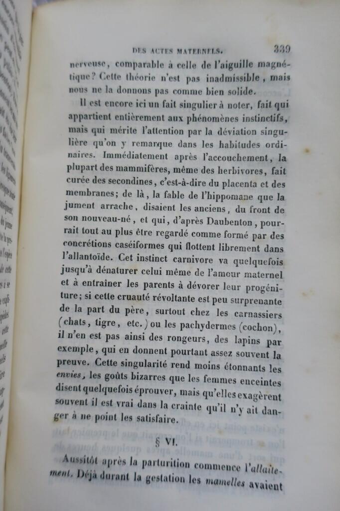 Vergleichende Physiologie von Mensch und Tier