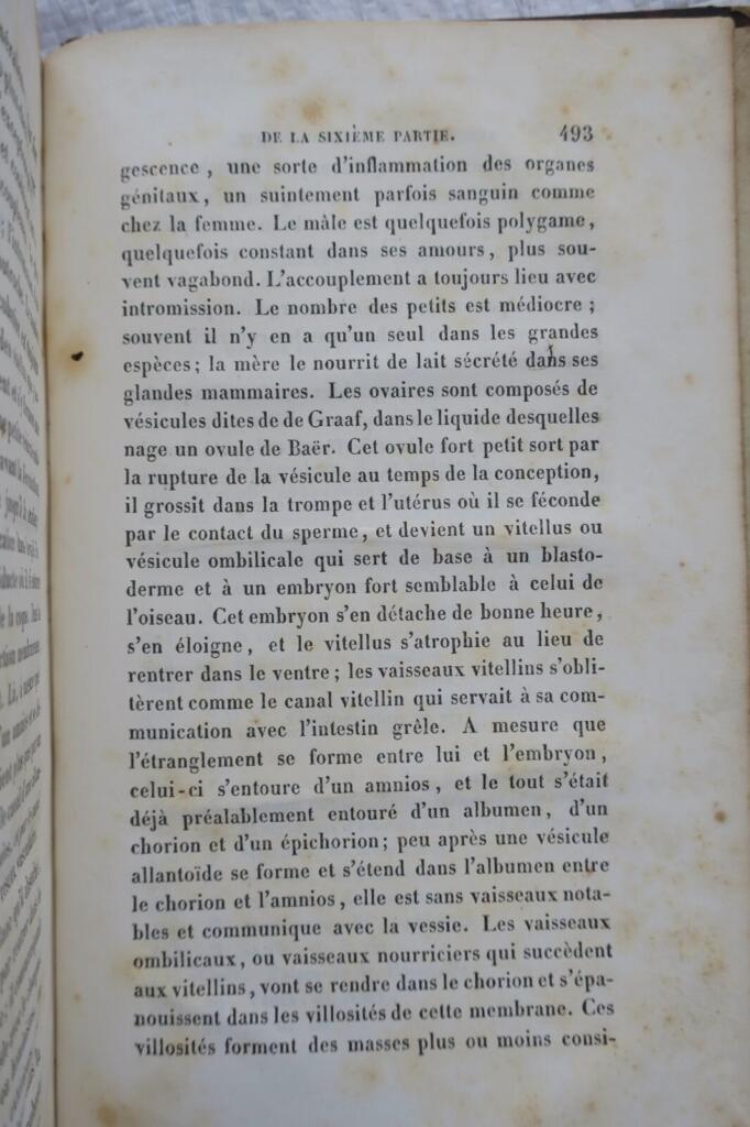 Vergleichende Physiologie von Mensch und Tier