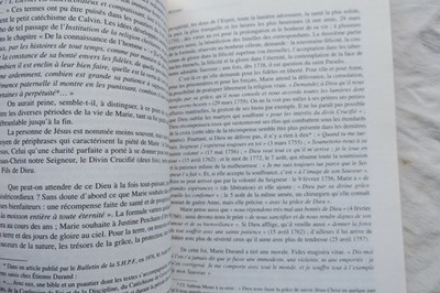 Briefe einer französischen Gefangenen