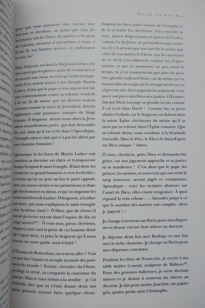 Dürer's Travel Journal Highlights