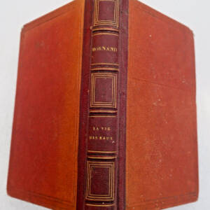 Eaux vie des eaux avec des notes sur la vertu curative des eaux 1853