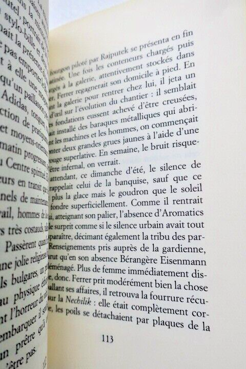 Ein Goncourt-Preisgekröntes Werk
