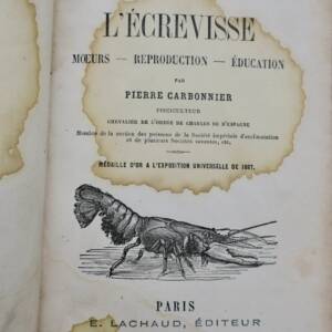 écrevisse - Moeurs - Reproduction - Éducation 1869