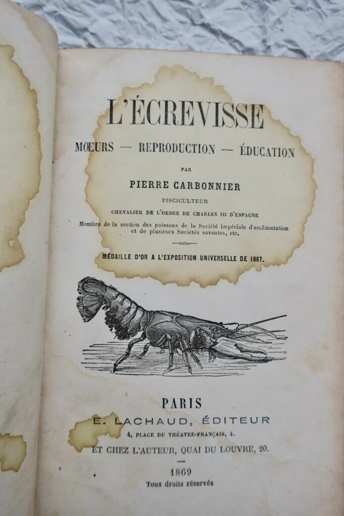 Crayfish: Life, Reproduction, and Breeding