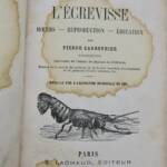 écrevisse - Moeurs - Reproduction - Éducation 1869
