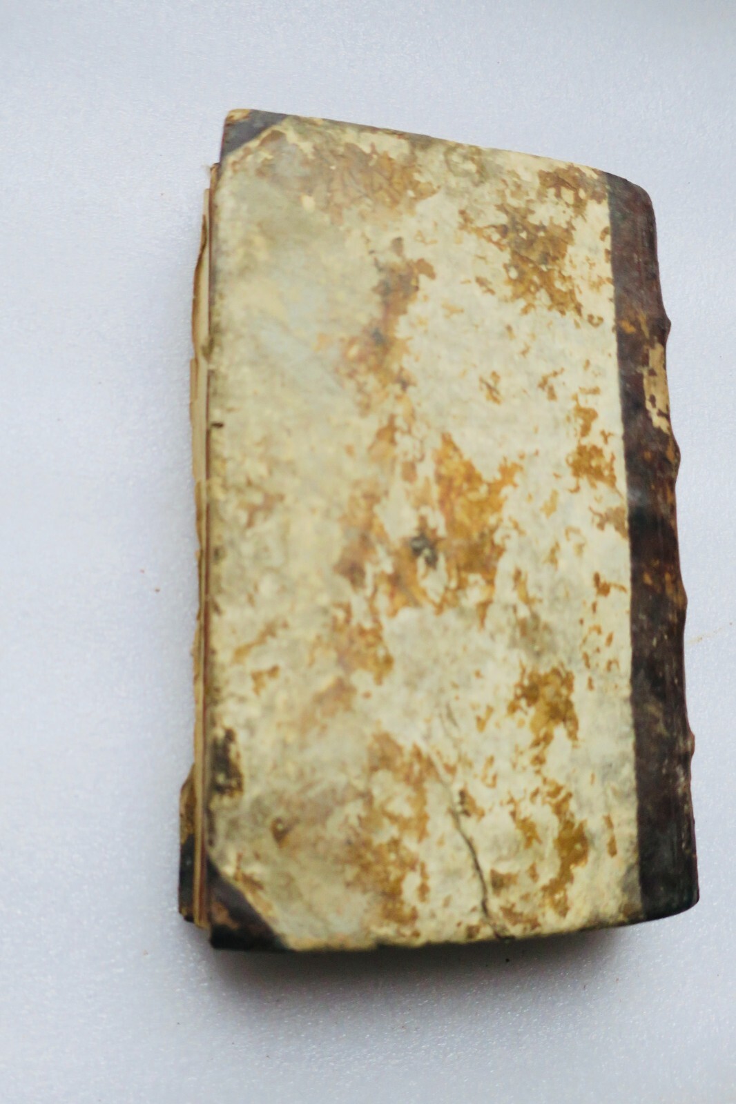 Elementa arithmeticae numericae, et literalis seu algebrae ad praefixam 1761 - La Librairie Antique