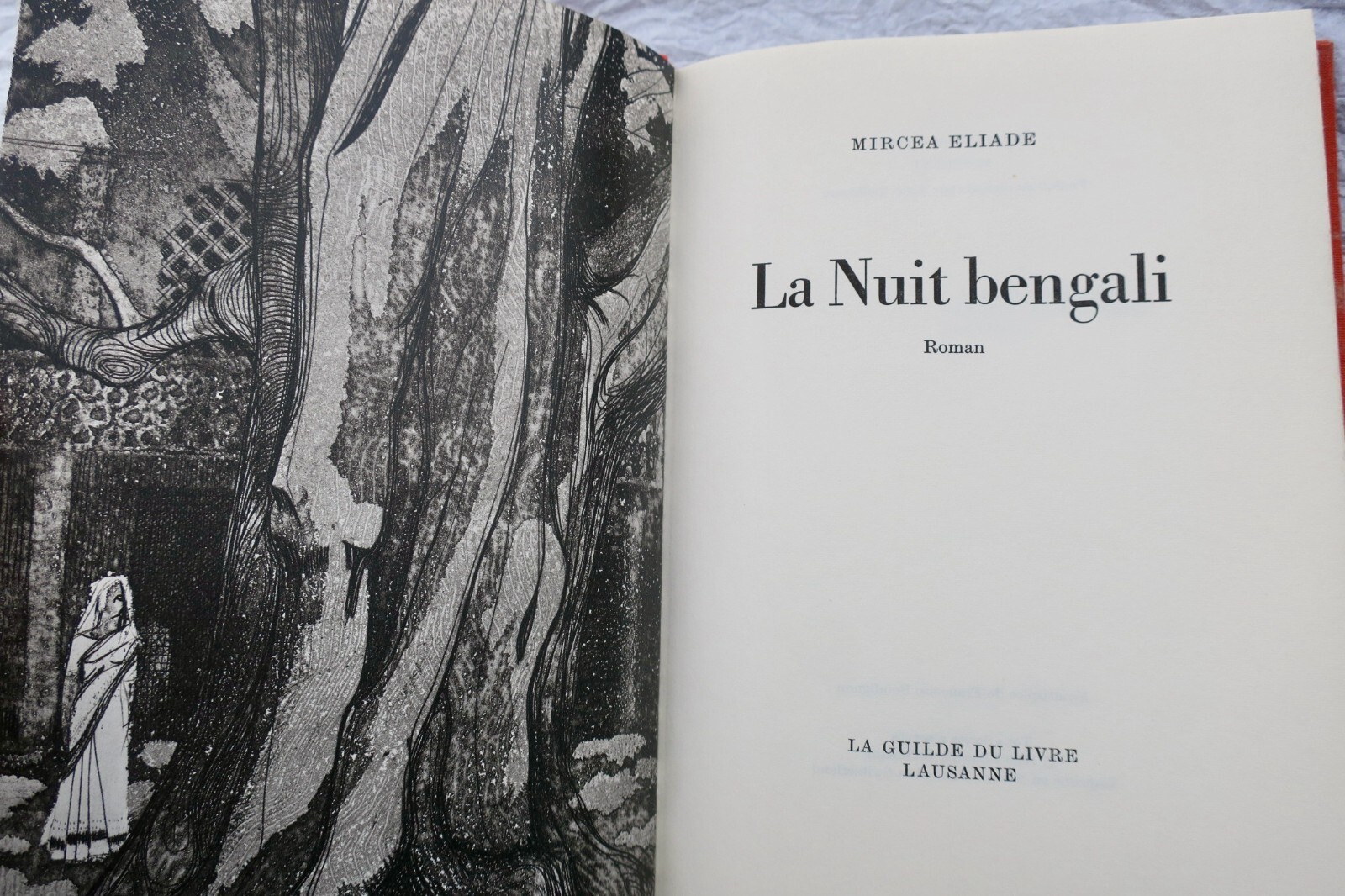 Bengali Night Novel - Image 5