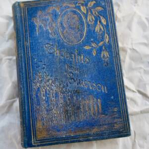 Emmerson Thoughts from Emerson The Miniature Series 1883