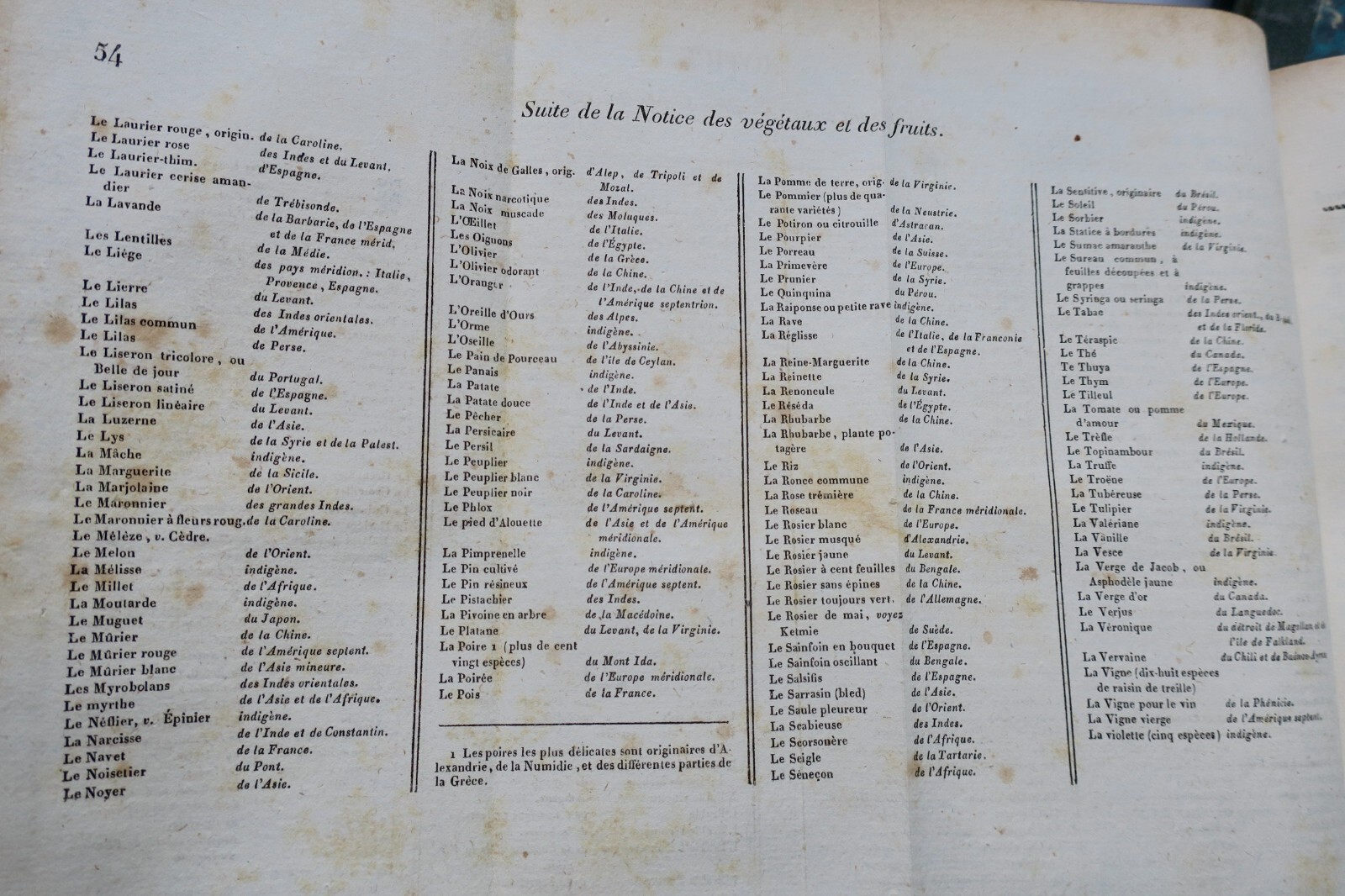 Elementare Enzyklopädie der Antike - Image 7