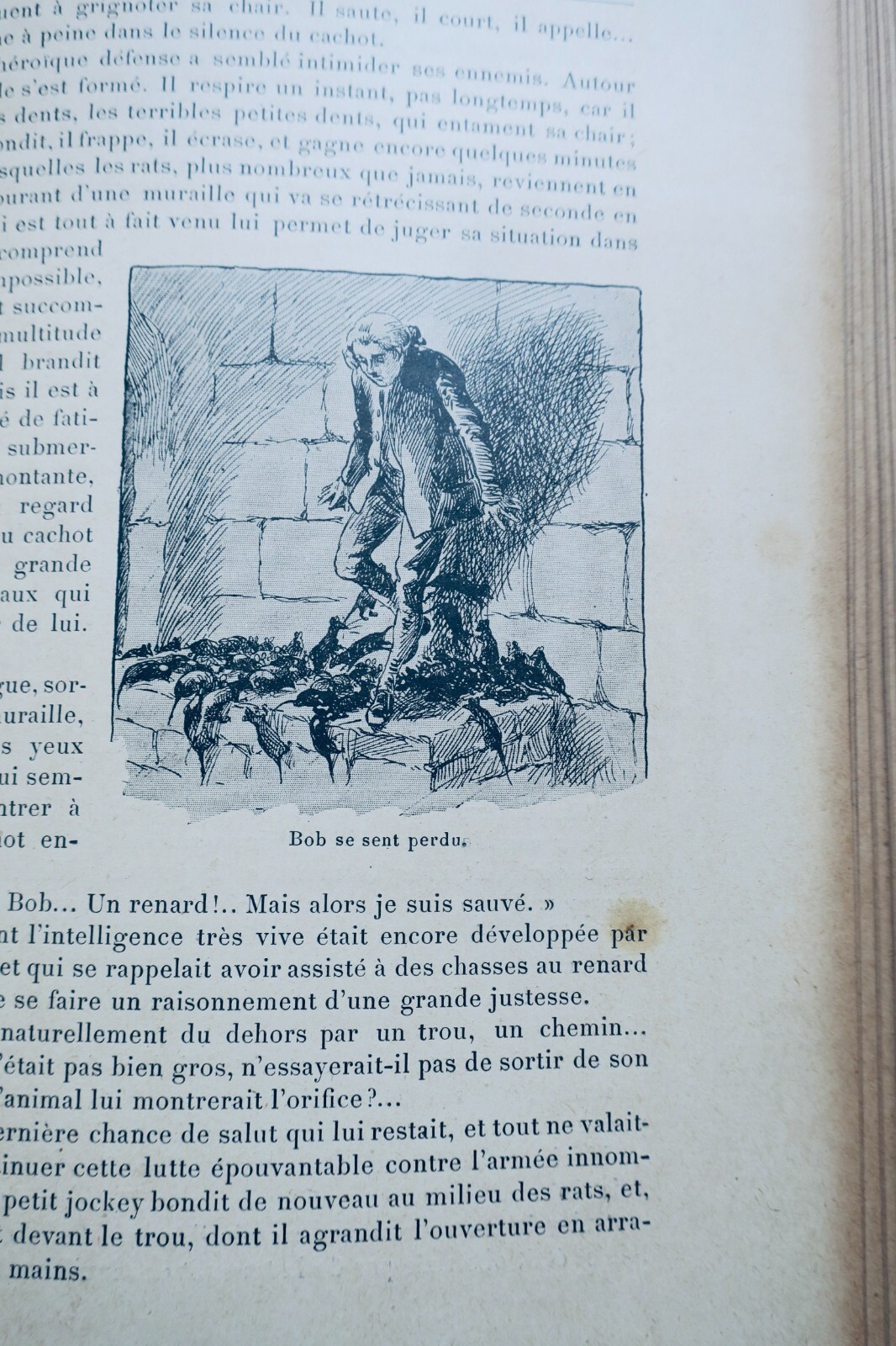 Der junge Jockey des Herzogs von Lauzun - Image 3