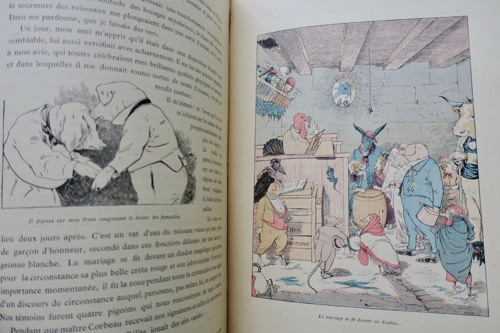 Gazelles Memoiren - Illustrierter Kinderklassiker - Image 5