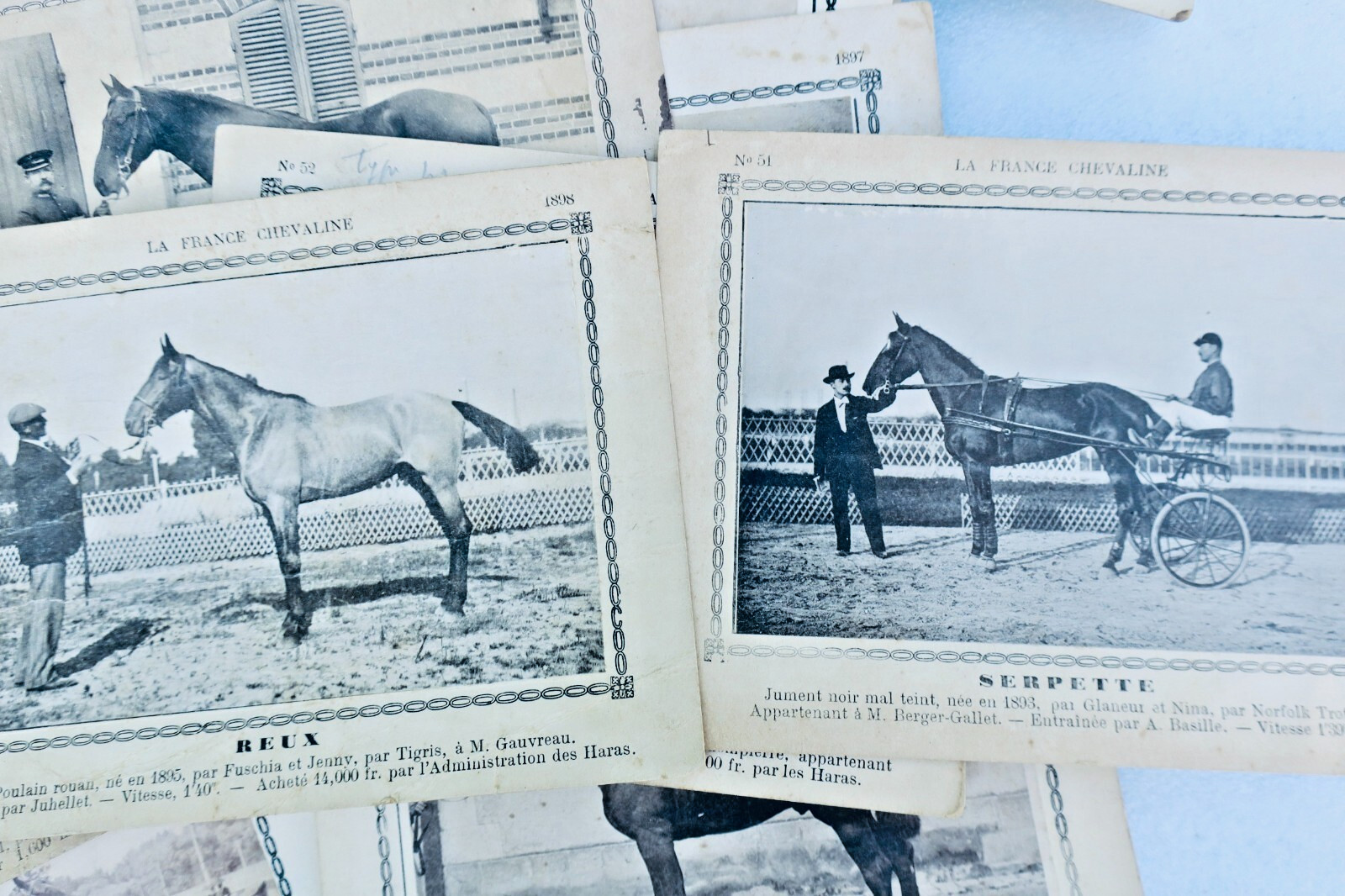 Equitation COURS CONCOURS La France Chevaline 345 cartes