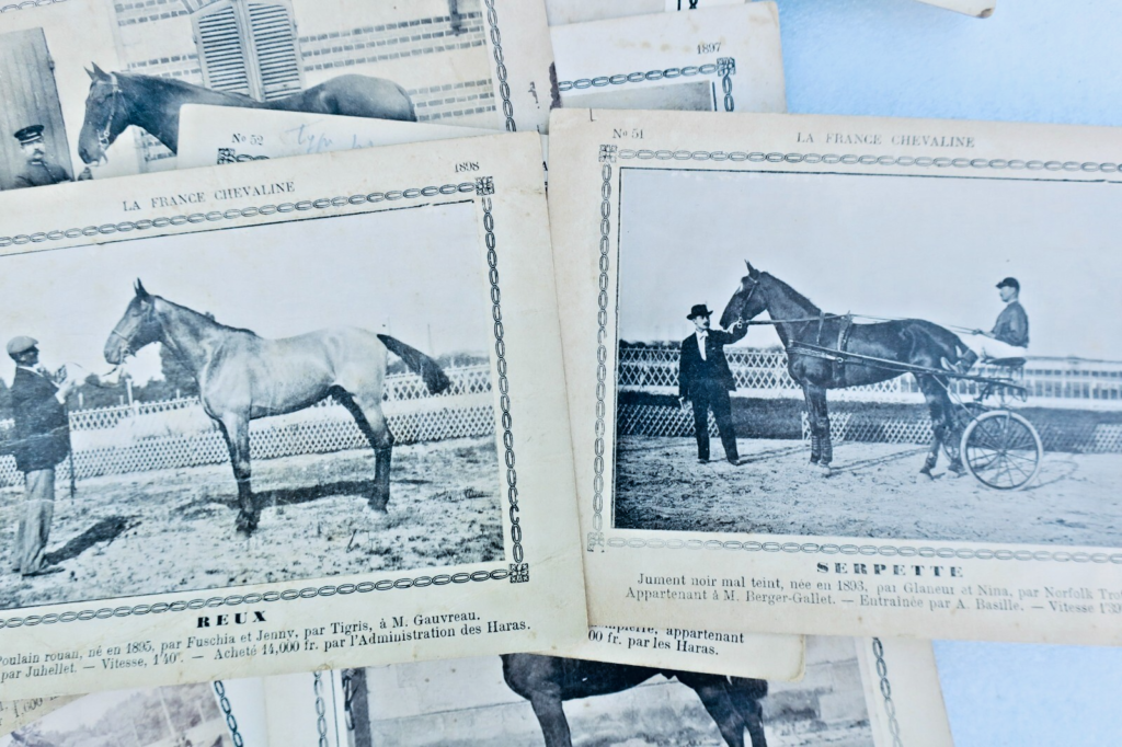 Seltene Reiterkarten-Sammlung