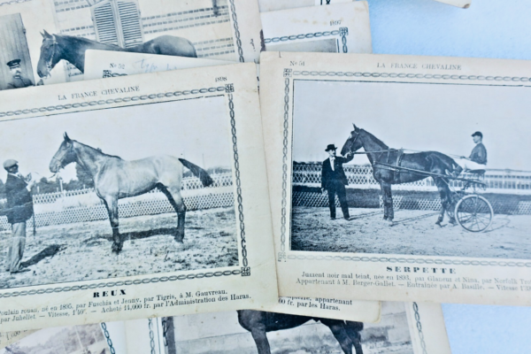 Equitación COURSE CONCOURT La France chevaline 345 Cartas