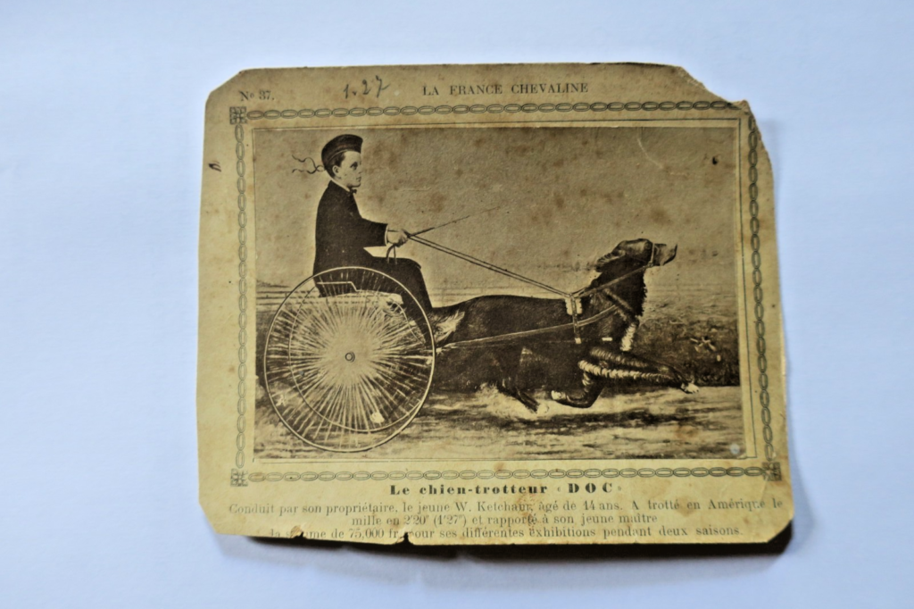Frankreichs Reitkunst: 345 Pferdekarten (1886-1899)