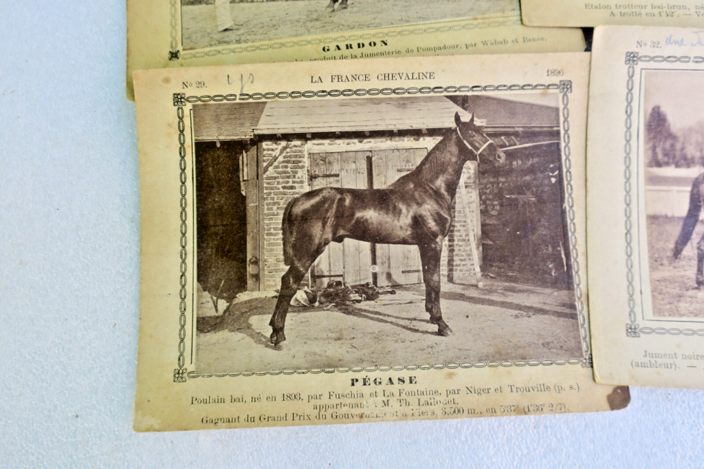 Frankreichs Reitkunst: 345 Pferdekarten (1886-1899)