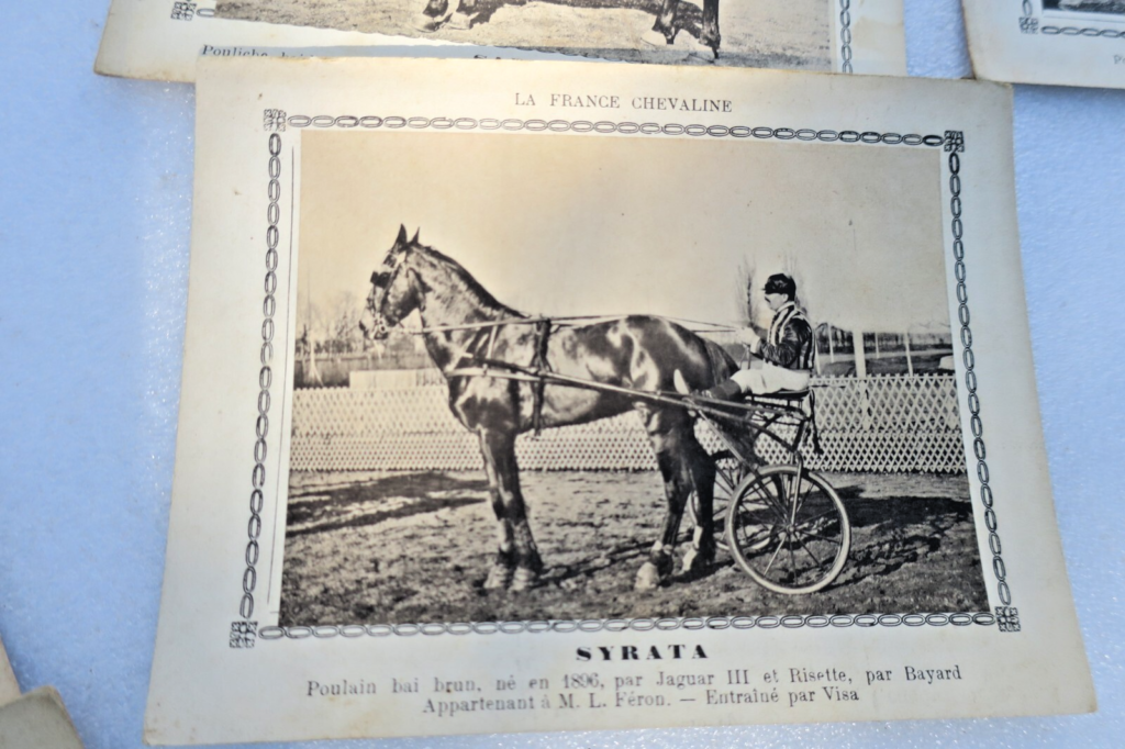 Frankreichs Reitkunst: 345 Pferdekarten (1886-1899)