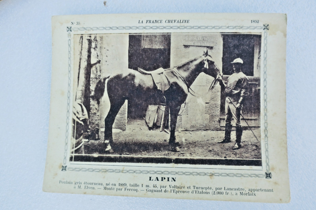 Frankreichs Reitkunst: 345 Pferdekarten (1886-1899)