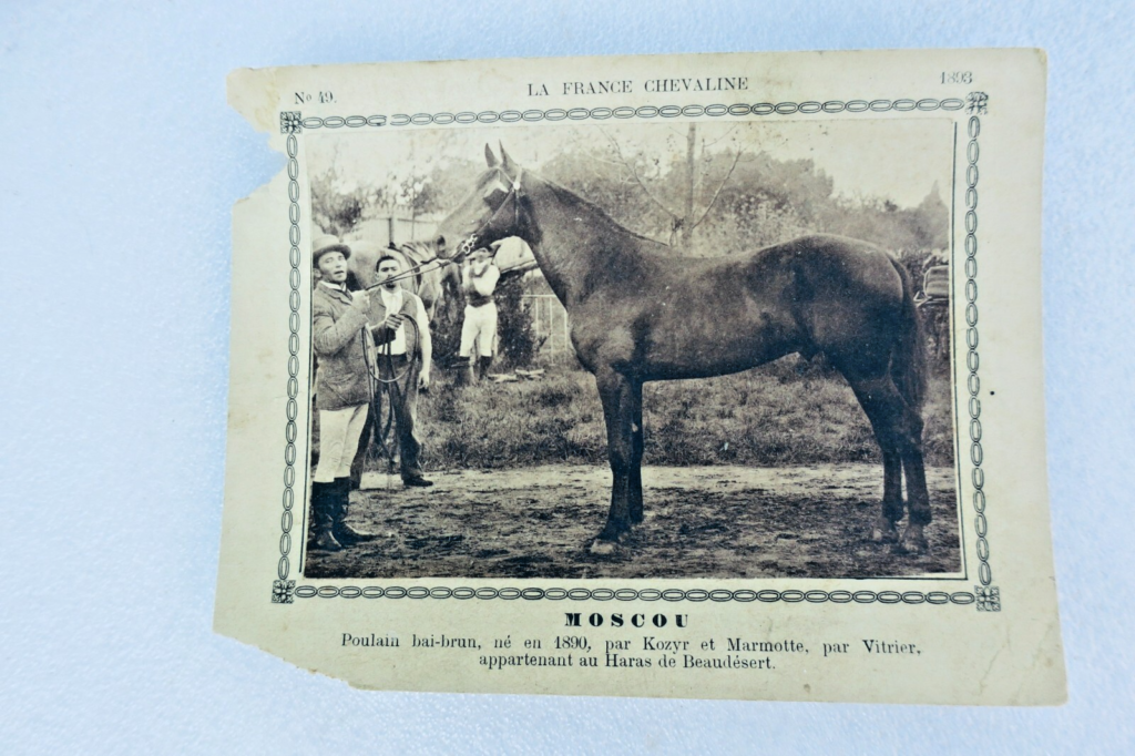 Frankreichs Reitkunst: 345 Pferdekarten (1886-1899)