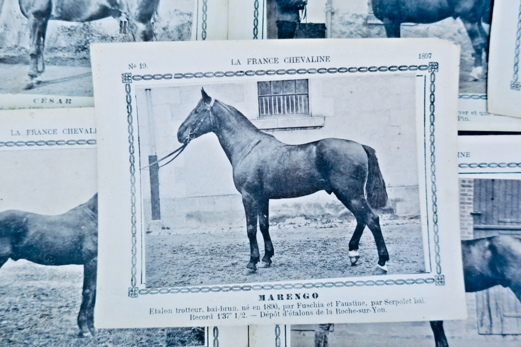Frankreichs Reitkunst: 345 Pferdekarten (1886-1899)