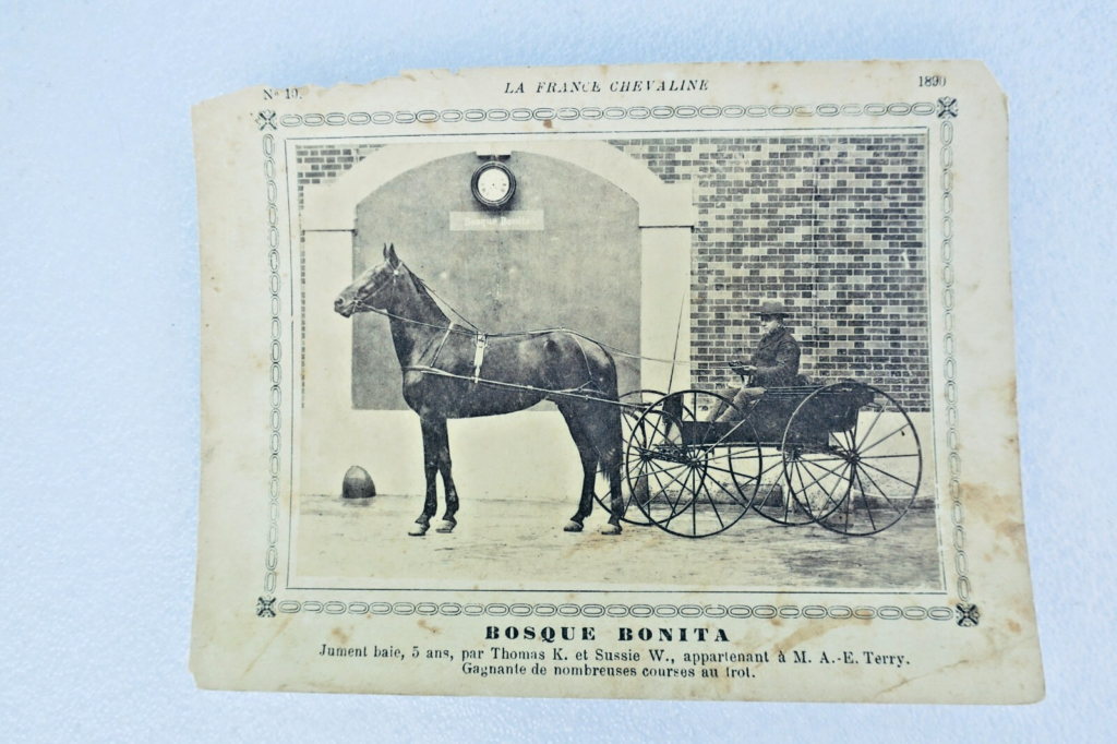 Frankreichs Reitkunst: 345 Pferdekarten (1886-1899)