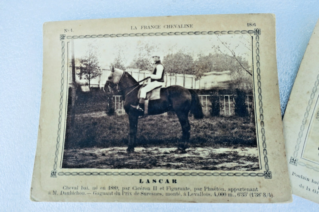 Frankreichs Reitkunst: 345 Pferdekarten (1886-1899)