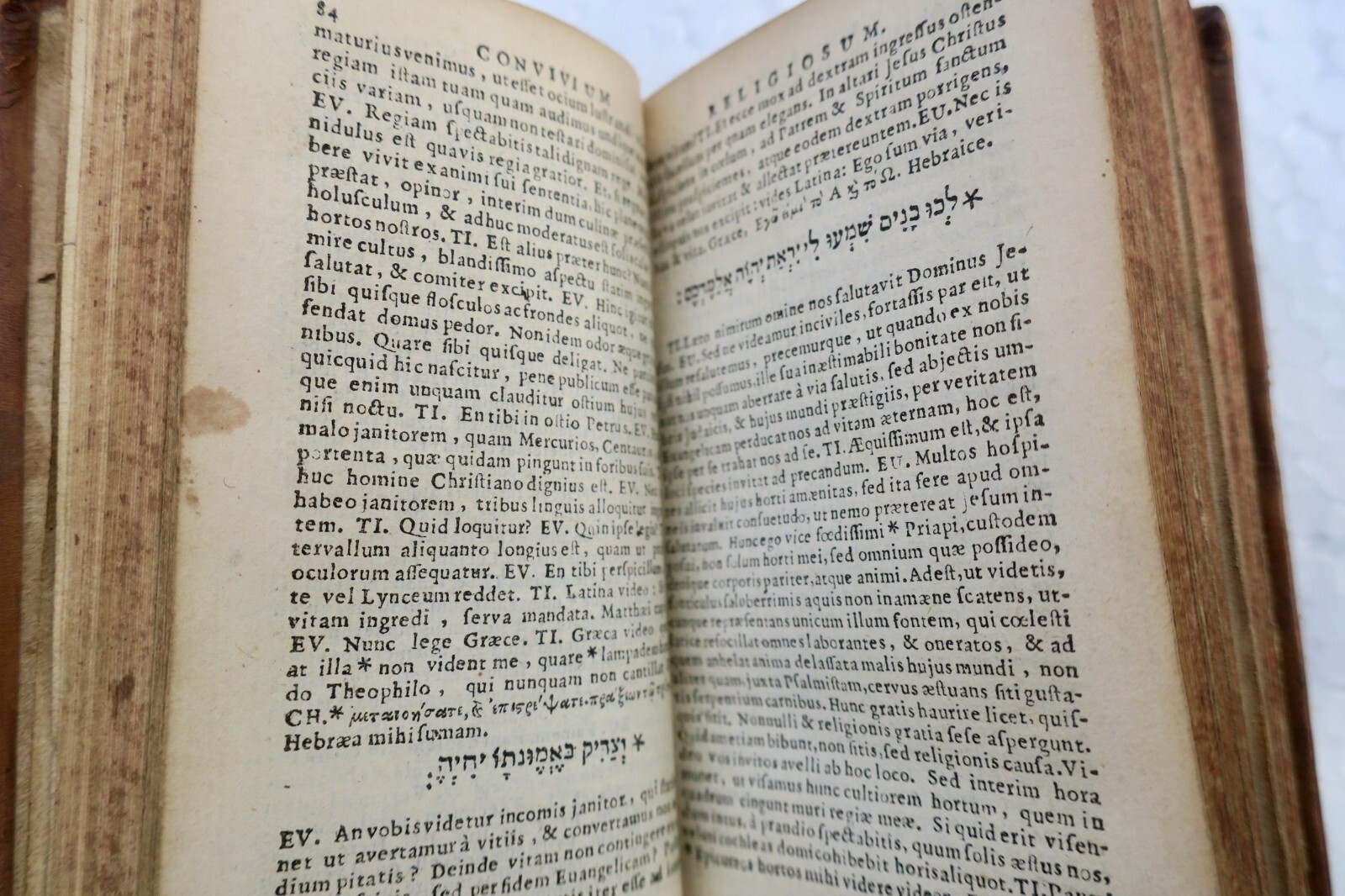 Seltene Ausgabe von Erasmus' vertraulichen Dialogen - Image 4