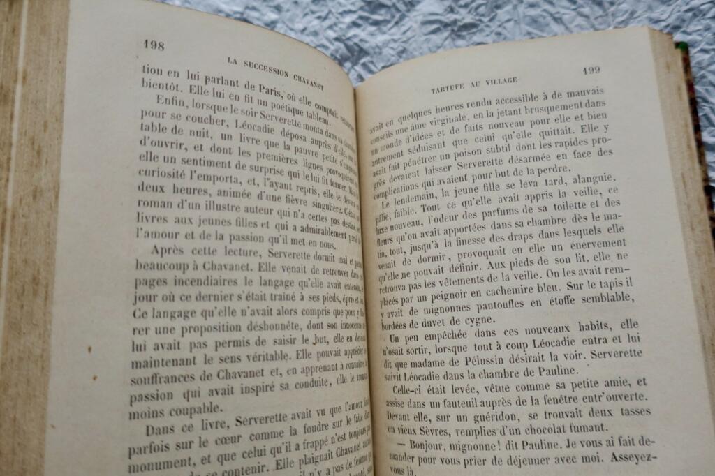 Ernest Daudet La succession Chavanet 1867