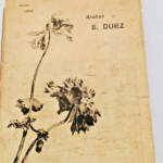 Ernest DUEZ atelier catalogue des tableaux études, pastels, aquarelles 1896 - La Librairie Antique