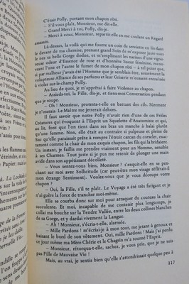 Fannys erotische Abenteuer - Erotischer Roman